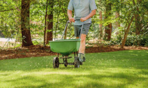 Lawn Fertilization in Lincoln, NE