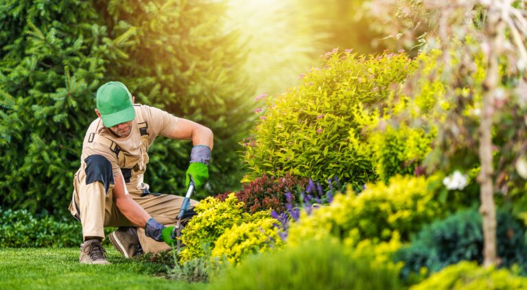Spring Pruning Guide for Lincoln, NE - Priority Lawn and Landscape