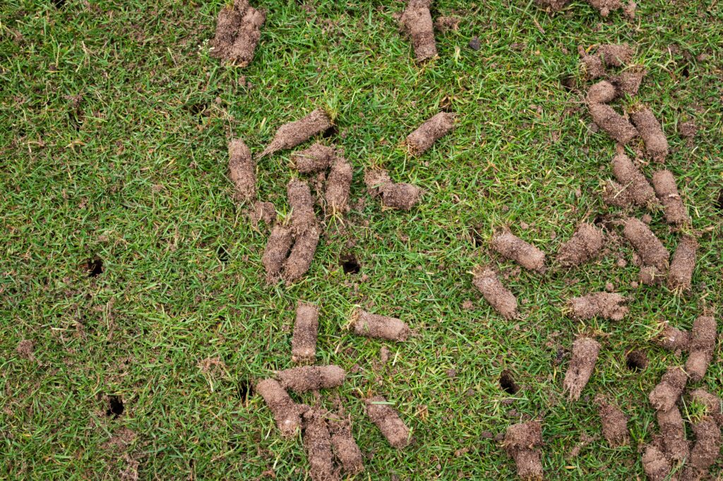 Lawn aeration in Lincoln, NE