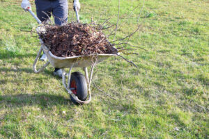 Seasonal yard cleanup in Lincoln, NE