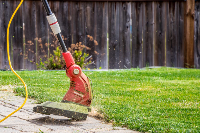 Winnipeg,,Canada,,May,18,,2019,-,Yard,Work,And,Spring