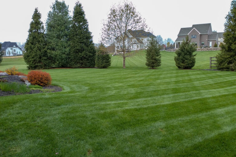 A,Newly,Mowed,Striped,Green,Lawn,In,The,Springtime,With