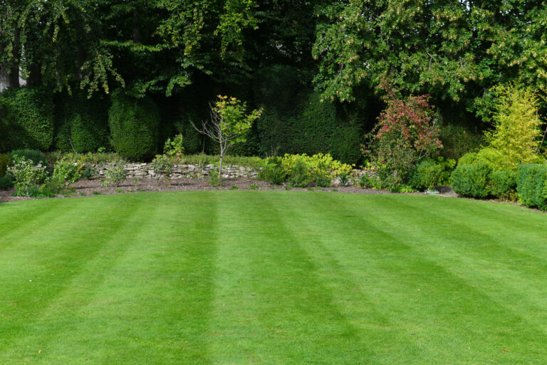 Scenic,View,Of,A,Beautiful,Garden,With,A,Freshly,Mowed