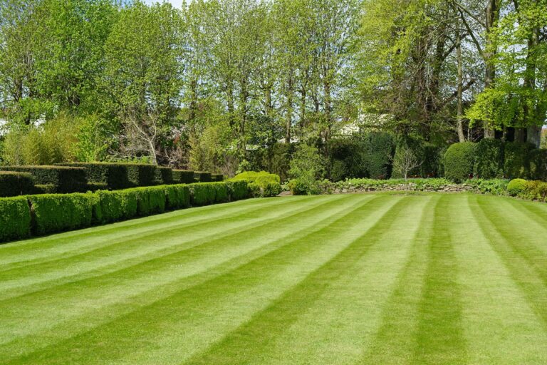 Scenic,View,Of,A,Beautiful,English,Style,Landscape,Garden,With