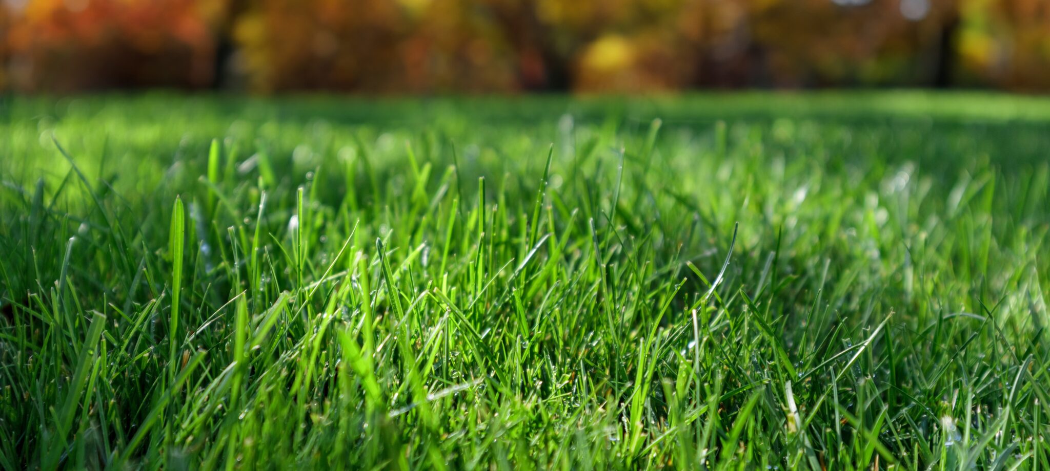 Landscape & Lawn Service in Lincoln, NE