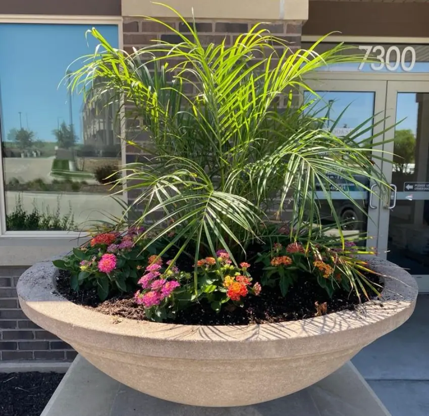 An example of our container planting outside a Lincoln business.