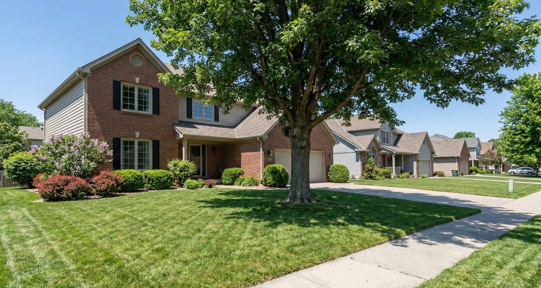Trees and shrubs are common features in Lincoln landscapes