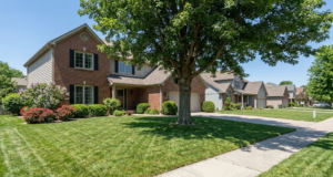 Trees and shrubs are common features in Lincoln landscapes